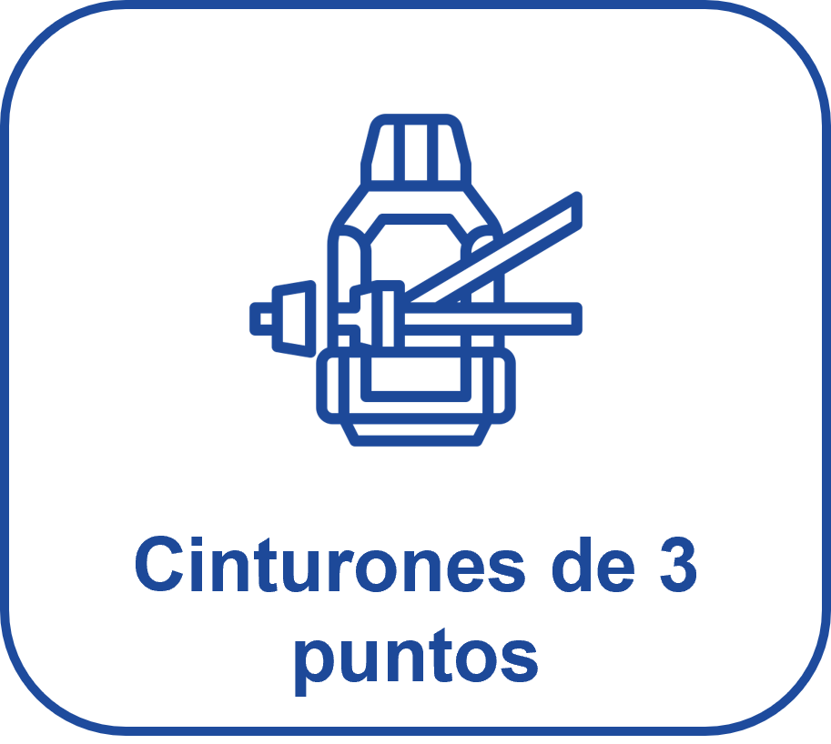 Cinturones